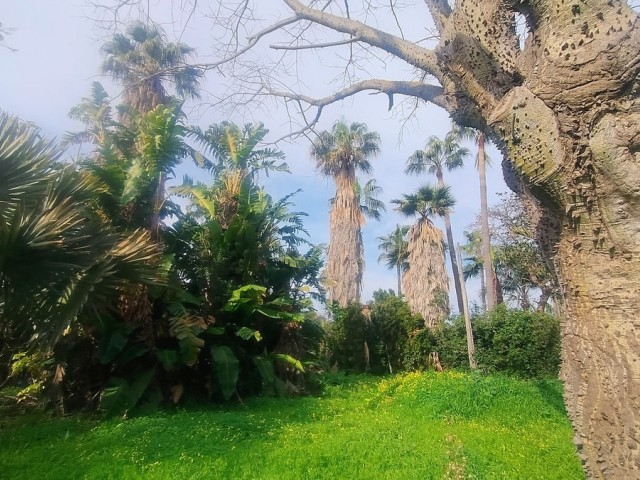  Plot in Hacienda Las Chapas