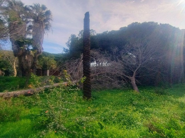  Plot in Hacienda Las Chapas
