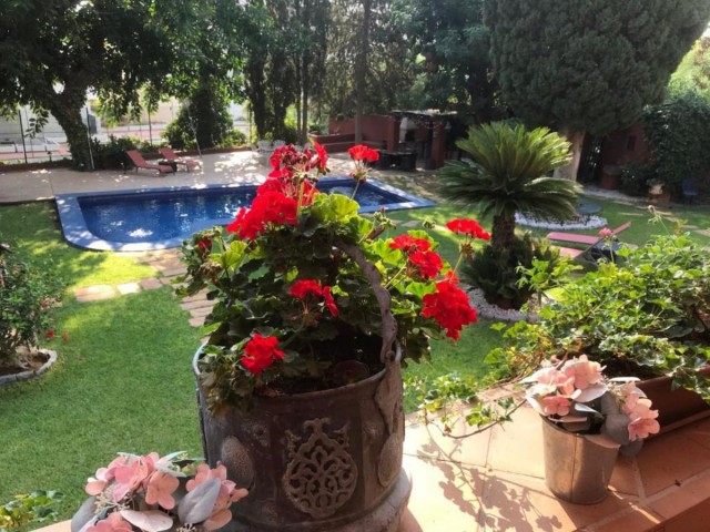 Liikekiinteistö Torremolinos