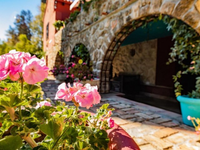 Liikekiinteistö Torremolinos