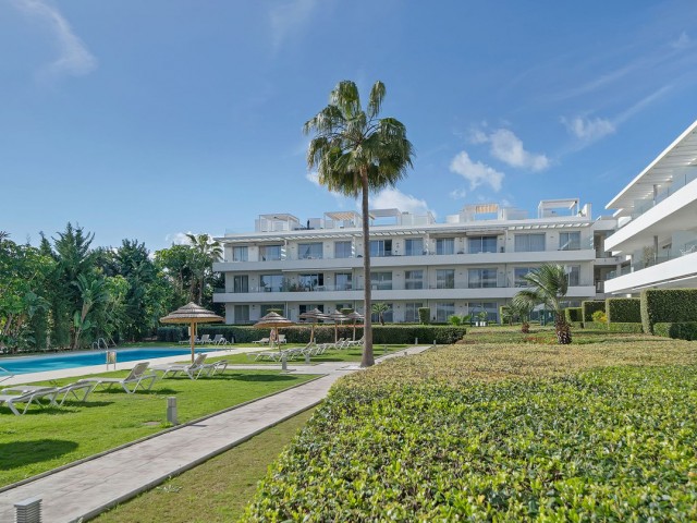 Leilighet Cancelada - R5294098