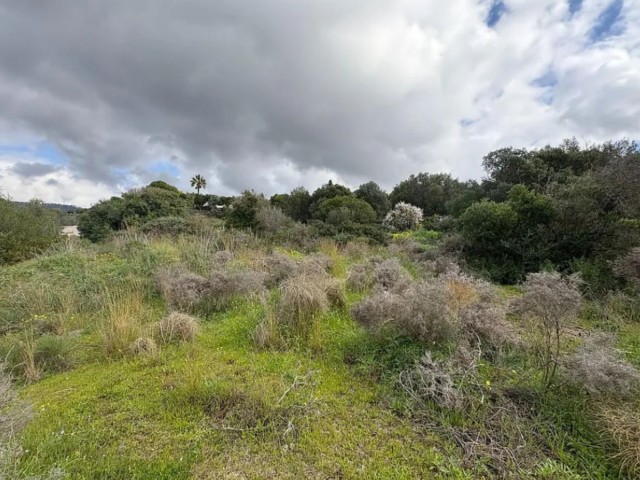  Terreno en Mijas Costa