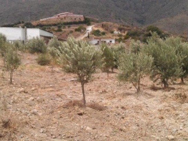  Plot in Estepona