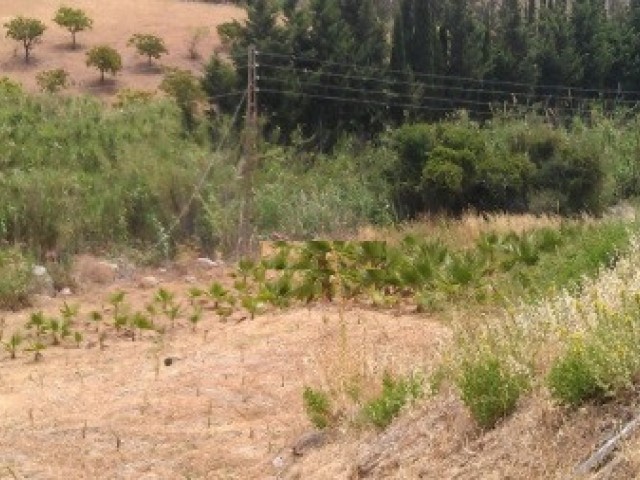  Plot in Estepona