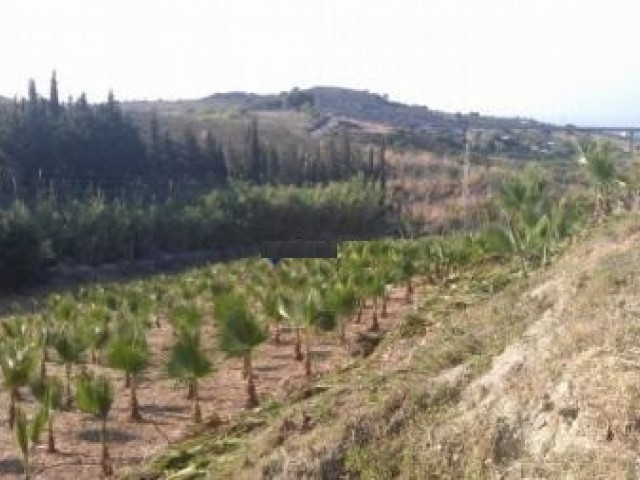  Plot in Estepona