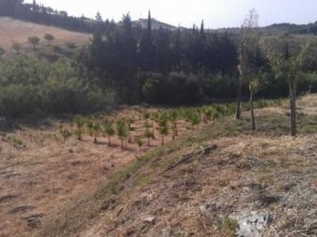  Plot in Estepona