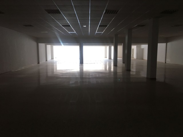 Commercial in San Roque