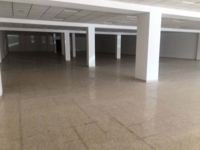 Commercial in San Roque
