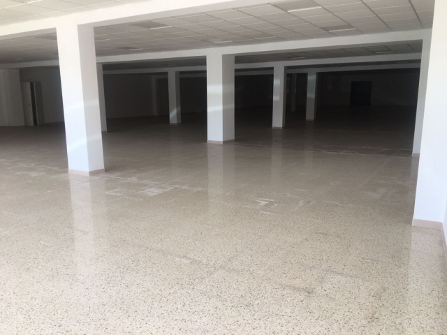 Commercial in San Roque