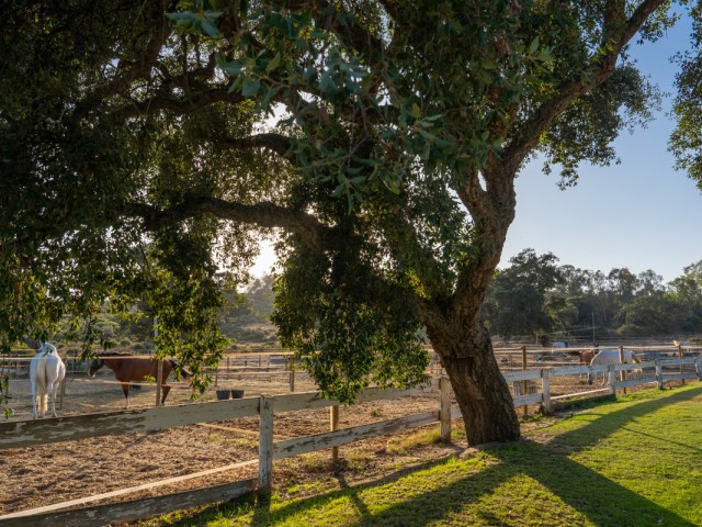 Grundstück, San Roque Club, R5201941