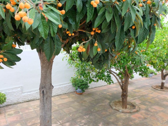 Villa con 5 Dormitorios  en Mijas