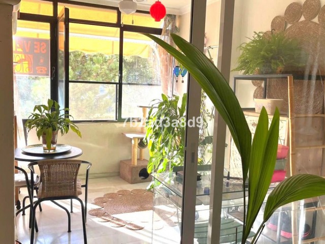 3 Bedrooms Apartment in Puerto Banús