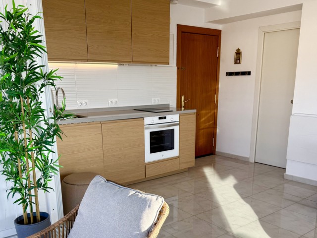 1 Bedrooms Apartment in Marbella