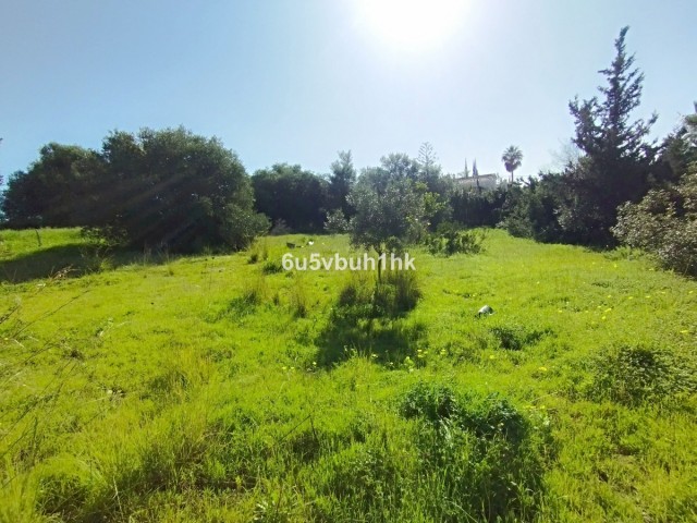  Tontti Bel Air