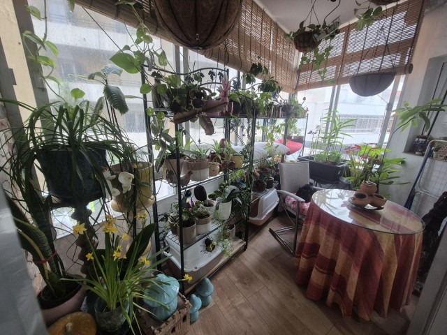 2 Bedrooms Apartment in Marbella