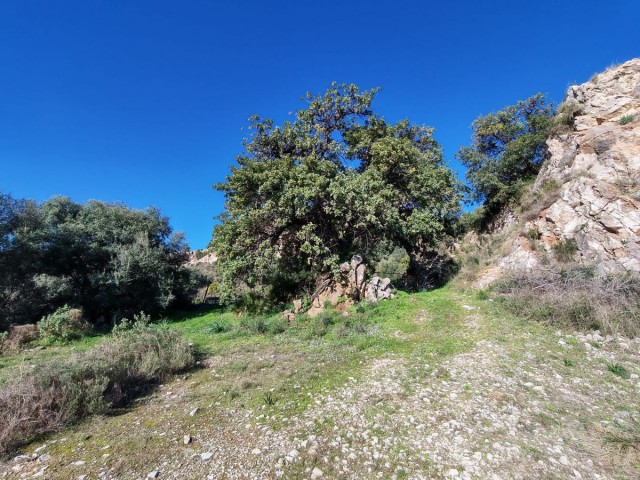  Plot in Marbella
