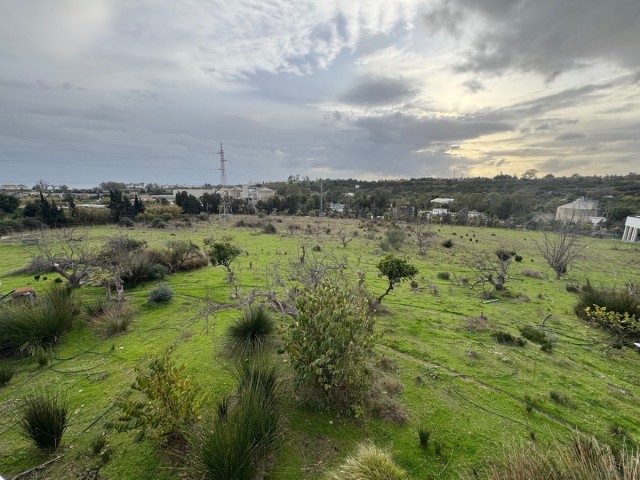 4 Bedrooms Villa in Estepona