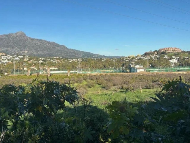 Plot, Marbella