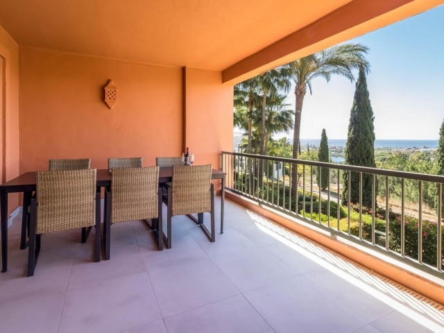 Apartment, Los Flamingos