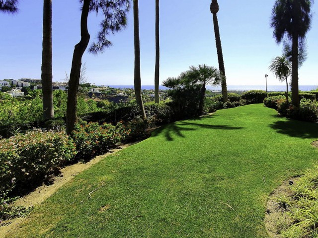 3 Bedrooms Apartment in Los Flamingos