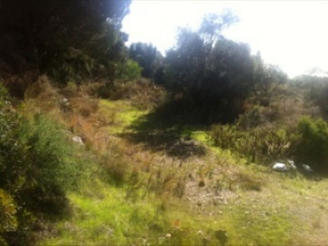 Tontti, Elviria, R4227502