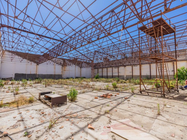 Commercial in La Colina