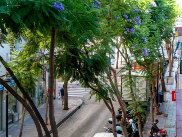 3 Slaapkamer Appartement in Los Boliches