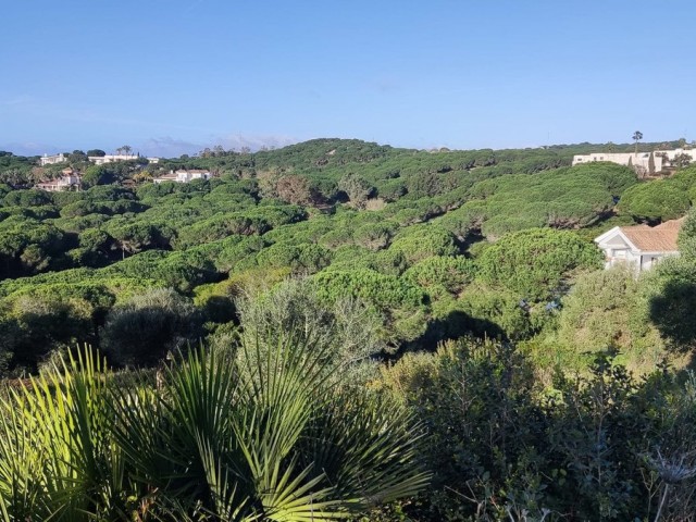  Parcelle à Sotogrande