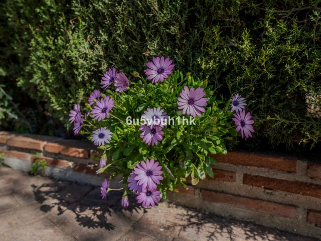 4 Slaapkamer Rijtjeshuis in Entrerrios