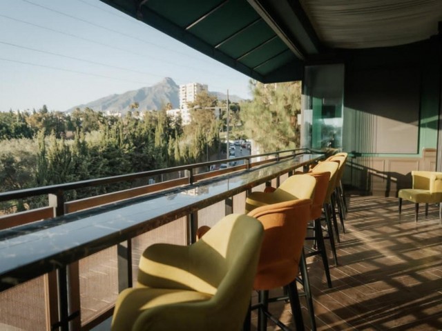 Commercial in Nueva Andalucía