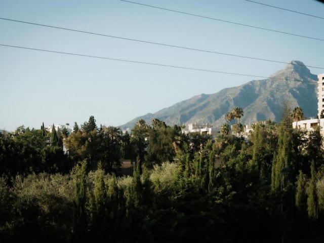 Kommerziell in Nueva Andalucía