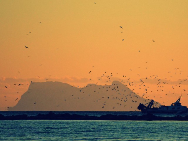 4 Soveroms Rekkehus i Casares