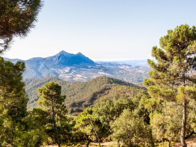 4 Soveroms Rekkehus i Casares