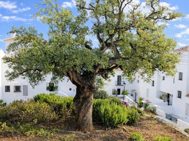 2 Schlafzimmer Apartment in Altos de los Monteros