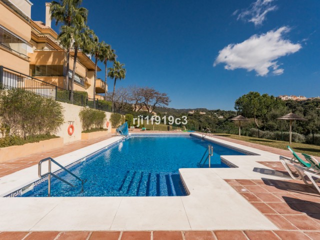 Apartment, Elviria