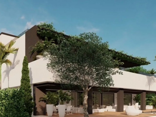 Tontti El Rosario - R5317861