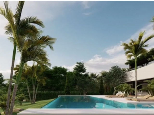  Parcelle à El Rosario