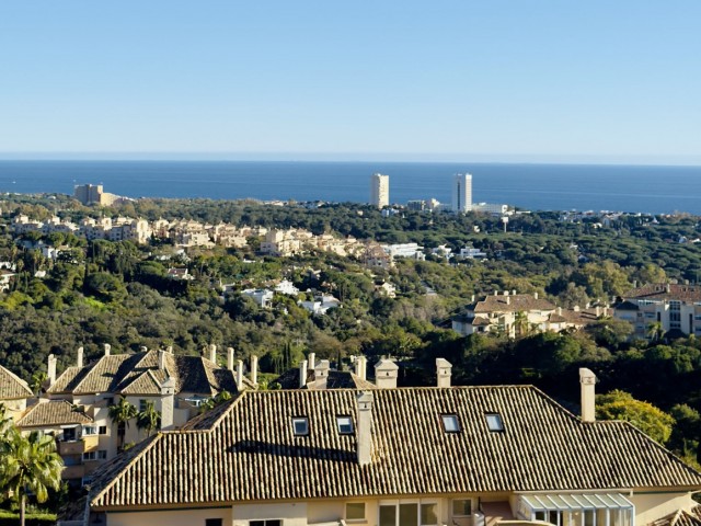 Penthouse in Elviria