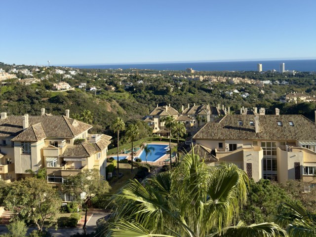 Penthouse, Elviria