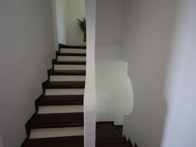 1 Bedrooms Apartment in Puerto de Cabopino