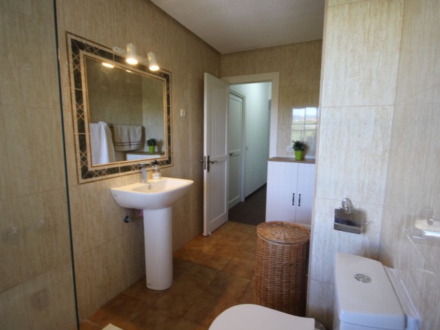 1 Bedrooms Apartment in Puerto de Cabopino