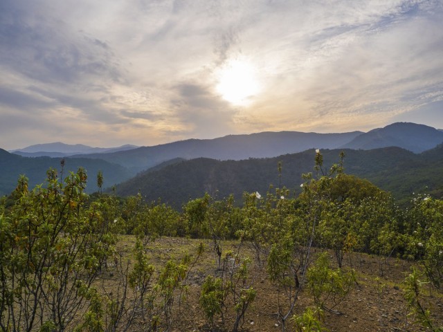  Parcelle à La Zagaleta