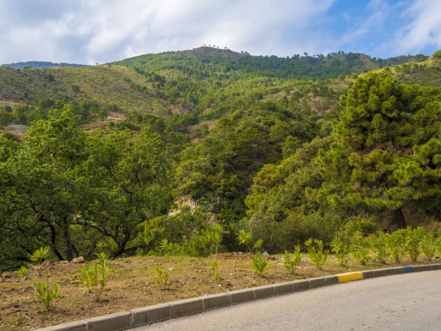  Parcelle à La Zagaleta