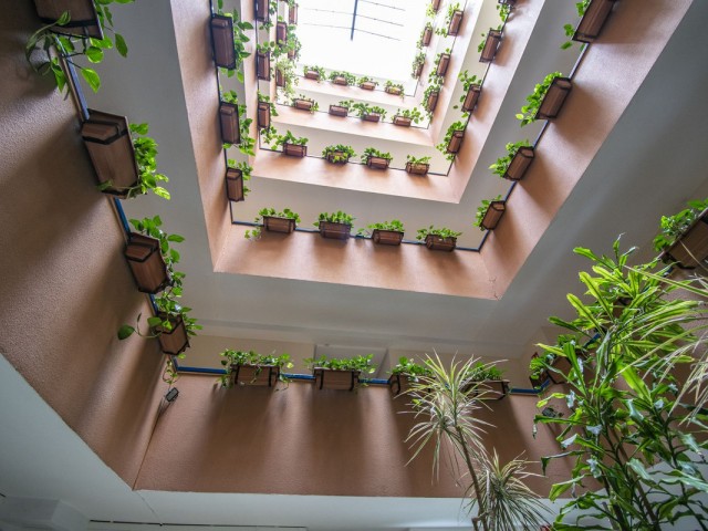 Penthouse avec 2 Chambres  à The Golden Mile