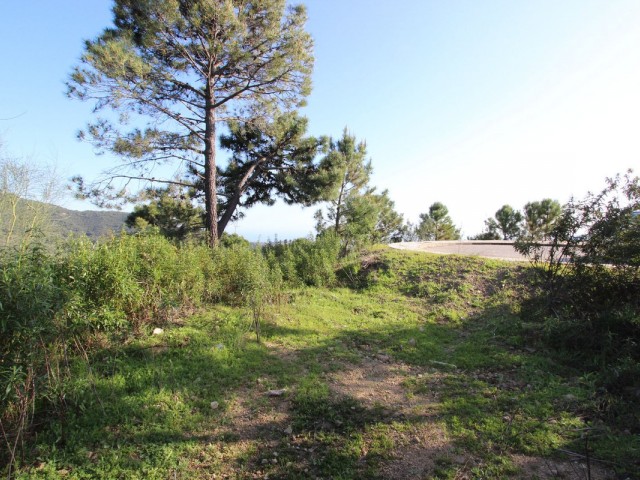  Grundstück in Benahavís