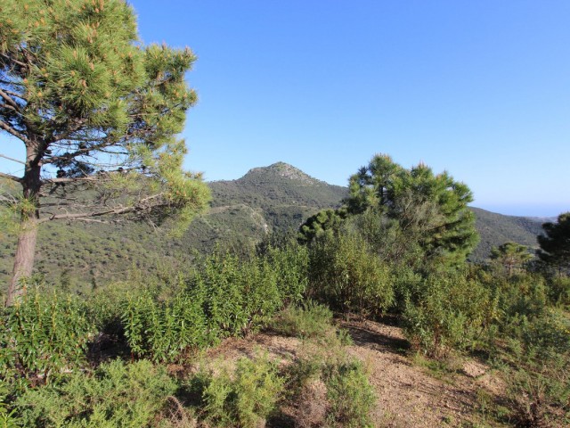  Grundstück in Benahavís