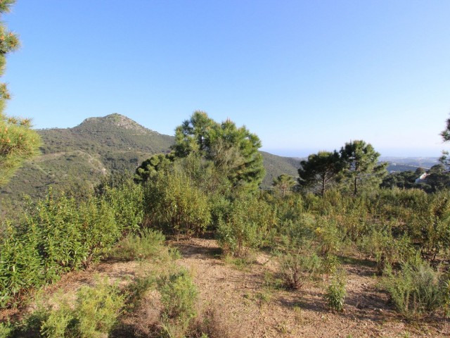  Grundstück in Benahavís