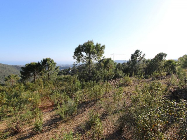  Grundstück in Benahavís