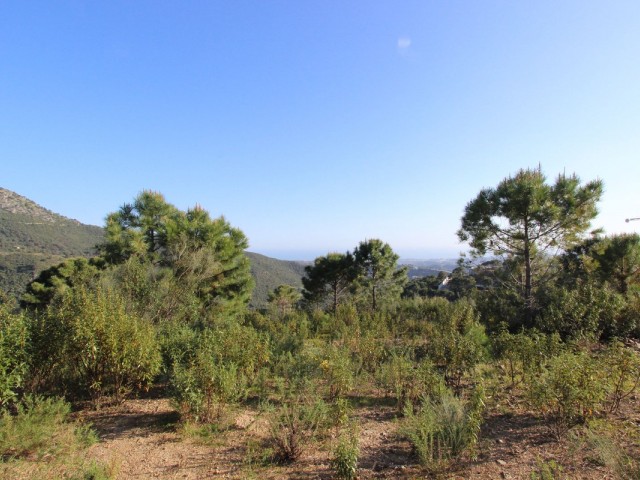  Grundstück in Benahavís