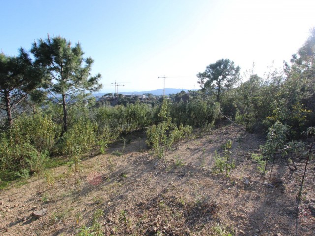  Grundstück in Benahavís